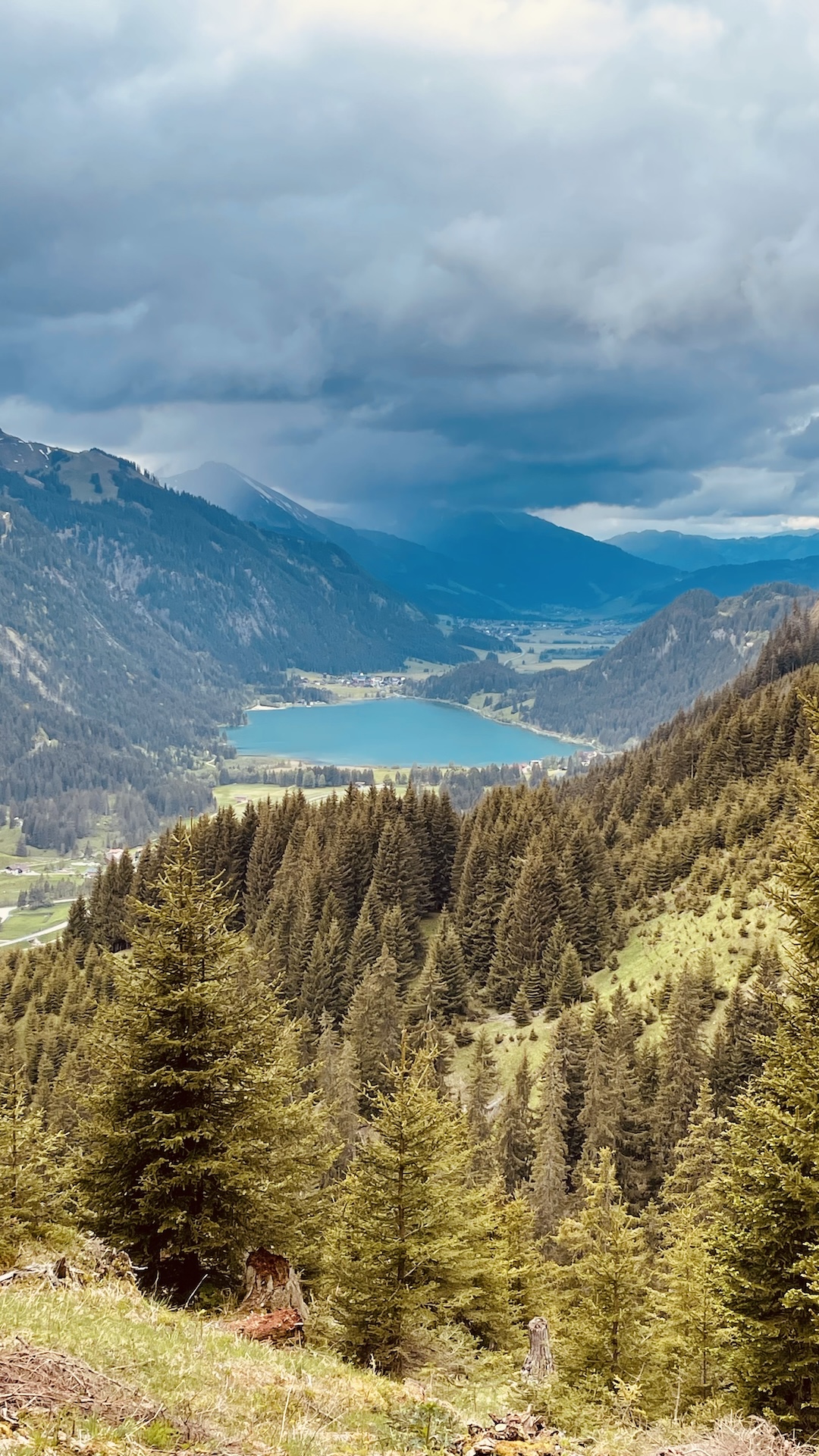 Hike & Yoga für Murmeltiere in Nesselwängle